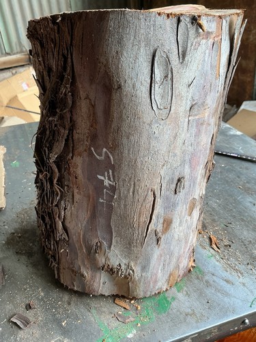 Yew block huge - yew,yew,
