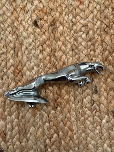 Vintage jaguar leaper hood - vintage,