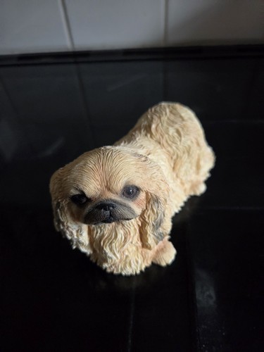Leonardo collection pekingese - collection,