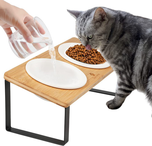Raised cat food bowl elevated - food,