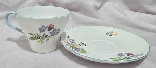 Shelley wild flowers 13668