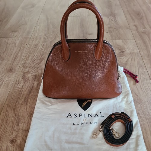 Rare aspinal london holly - rare, of