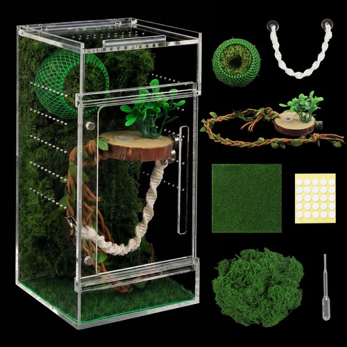 Jumping spider enclosure - jumping,