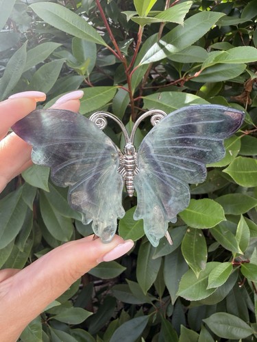 Fluorite butterfly - fluorite,