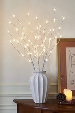 Twig Lights White Birch Twig