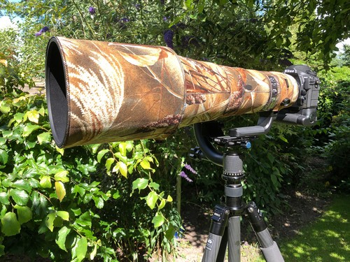 Nikon 400mm fl vr - 400mm,