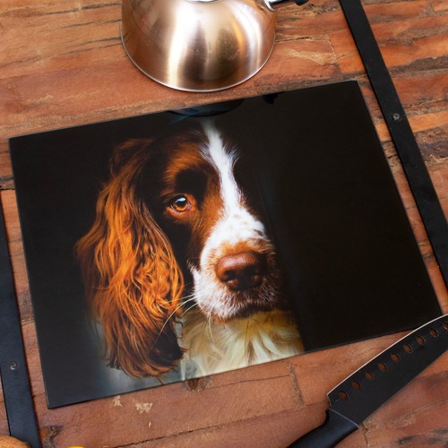 Springer spaniel glass - springer,