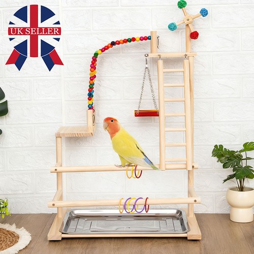 Parrot playstand bird - playstand, play
