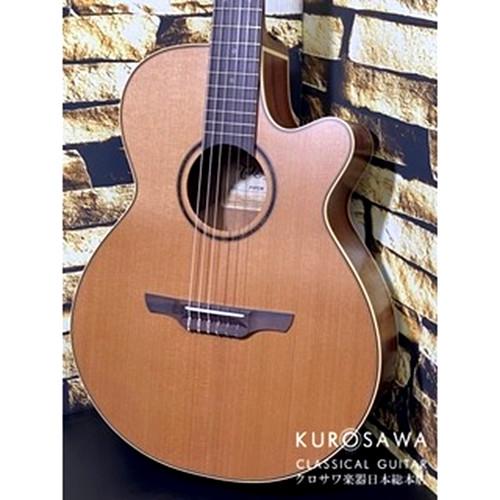 Takamine p3fcn electric gut - electric,