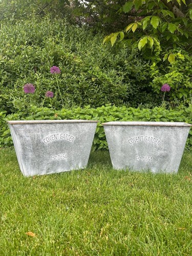 50cm zinc trough - zinc,