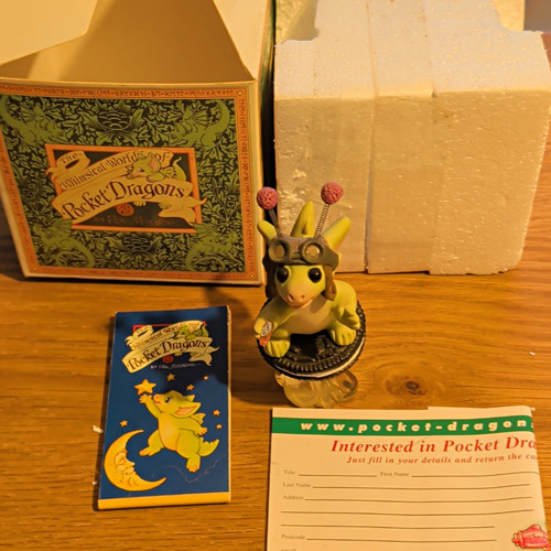 Pocket dragons whimsical - pocket,