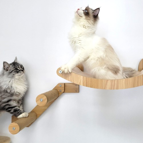 Cat wall steps floating wooden - steps,