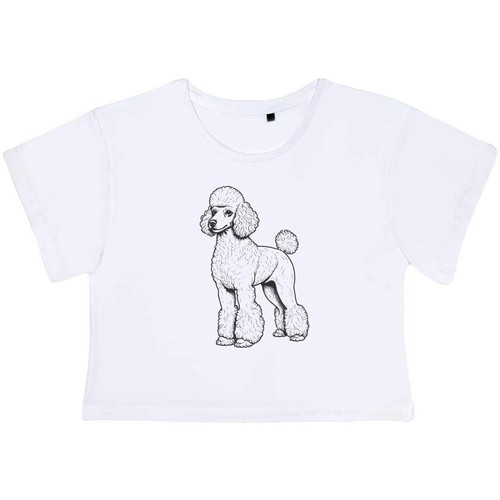 Standard poodle women s - 'standard, women's