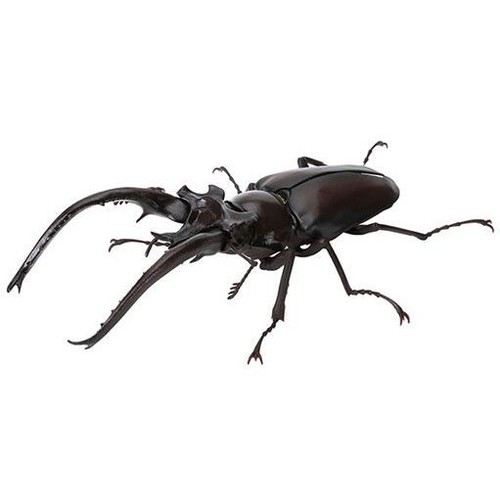 Bandai gashapon stag beetle - bandai,