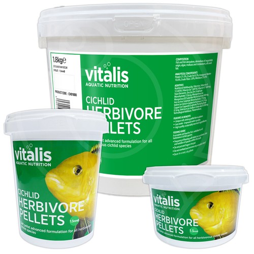 Vitalis cichlid herbivore - vitalis,