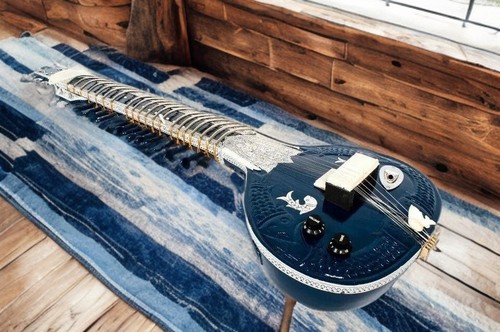 Professional indian sitar - indian,