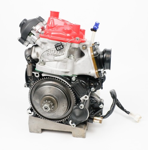 Senior rotax max - max, jag