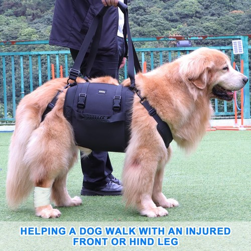 Dog carry sling senior - sling,
