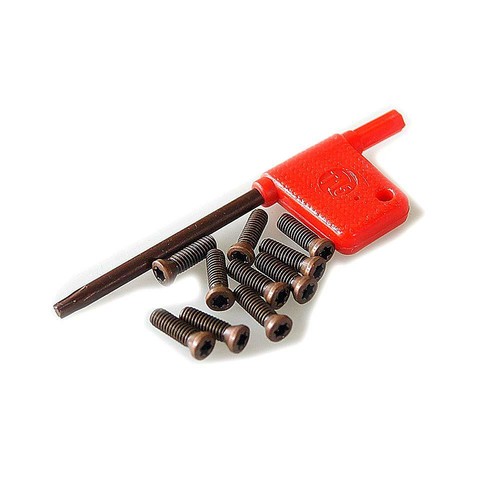 10pcs insert torx - torx, screw
