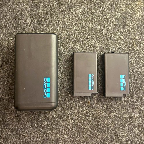 Gopro max batteries - max,