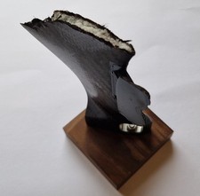 Lewis Hamilton - Damage Rear