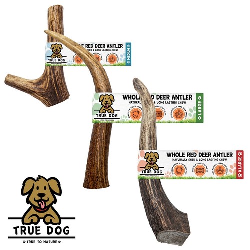 Whole wild antler - wild, chews