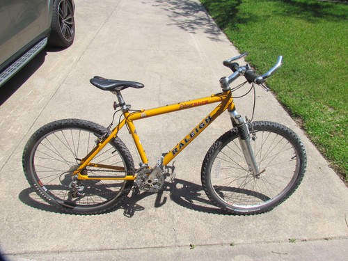Vintage raleigh shiner - shiner, bock