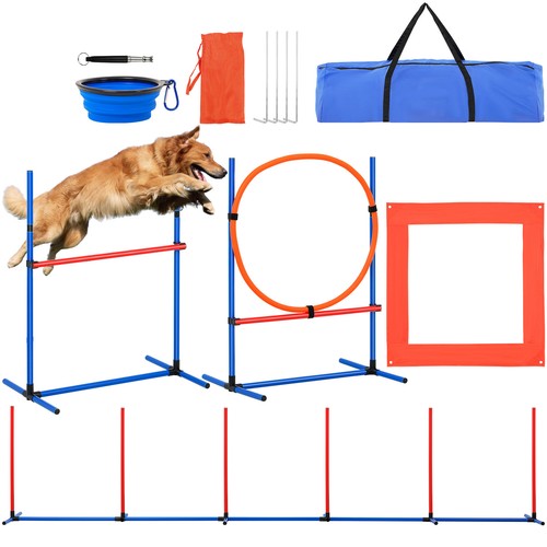 Dog agility training - dog, kit