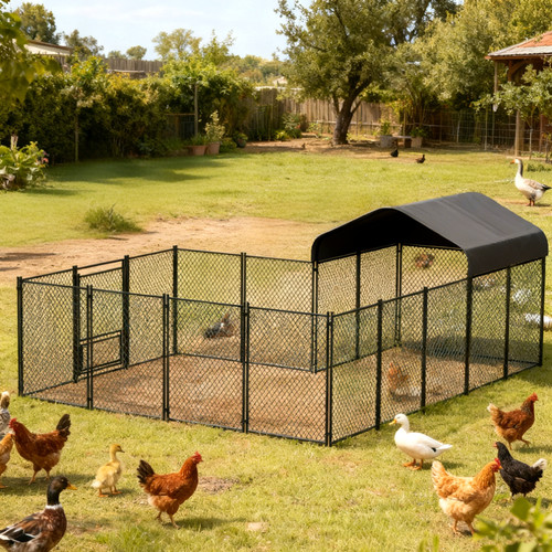 Chicken coop run cage - cage, poultry