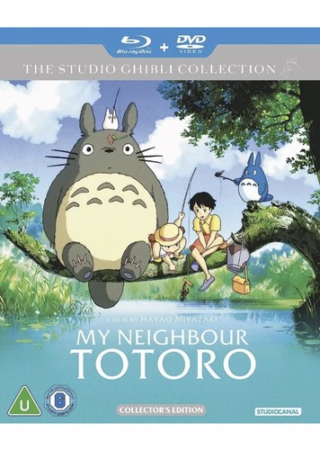 Neighbour totoro - my,