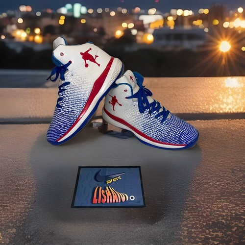 Nike air jordan - nike, xxxi