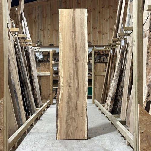Oak plank board - oak,