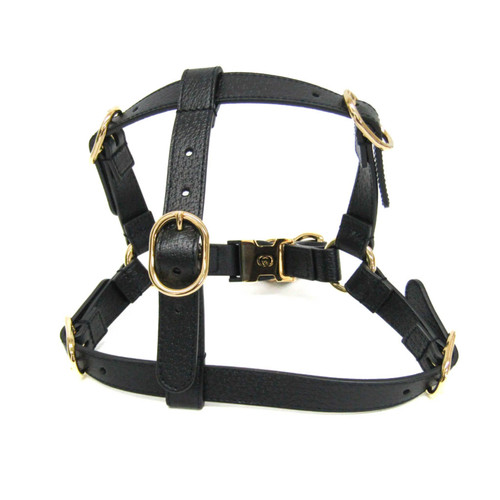 Gucci interlocking pet - gucci,