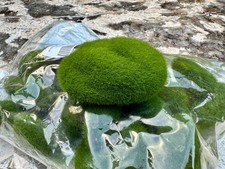 30 Pcs Artificial Stone