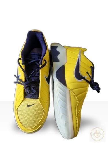 Nike lebron witness - ix,