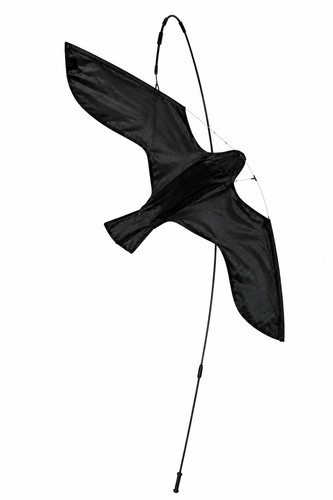 The big cheese hawk kite - big,