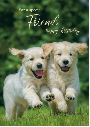 Doodlecards friend birthday - doodlecards,