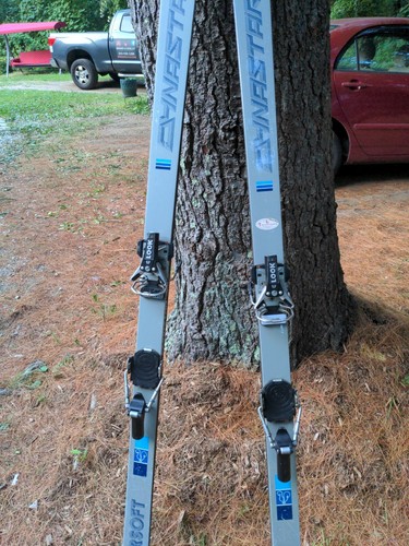 Dynastar omega skis look - omega, w/