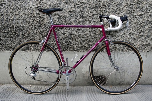 Rossin prestige campagnolo - rossin,