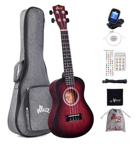 Winzz ukulele concert - winzz,