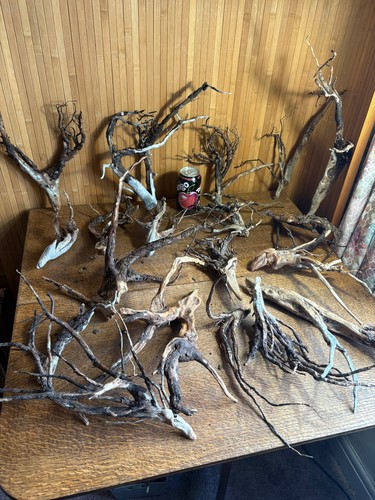 Driftwood job lot over 20 - job,