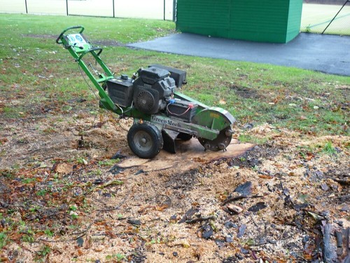Tree stump grinding services - ,