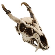 Goat Skull Ornament Household Model Animal Head Wall Art Decoration