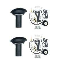 Carburetor Repair Kit with