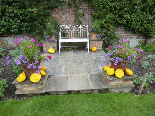Photo the first squashes of - first,