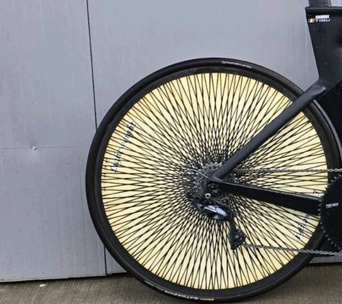 Lightweight carbon disc rear - disc,