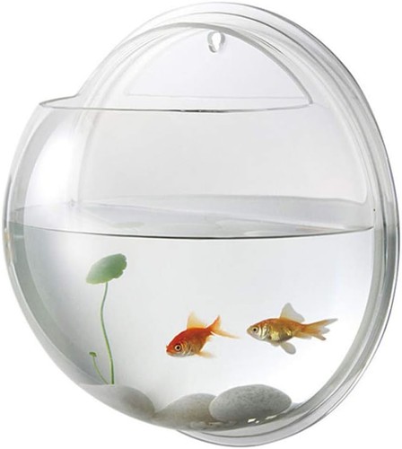 Alipis wall mounted fish - wall,