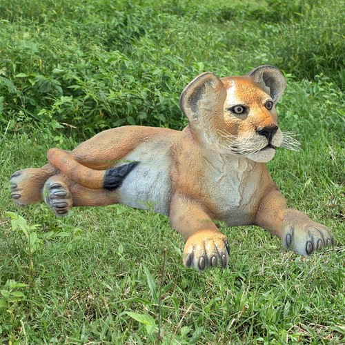 81cm lion cub lying down - lion,