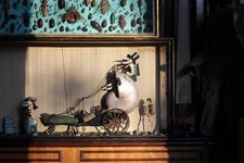 19th C Anthropomorphic Chameleon & Crustacean Taxidermy Scene Curio Macarbe