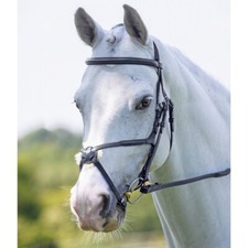 Shires Velociti Grackle Bridle